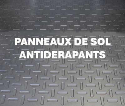 Abri de jardin Canopia Skylight en polycarbonate gris anthracite et aluminium surface totale hors tout 4,2m²