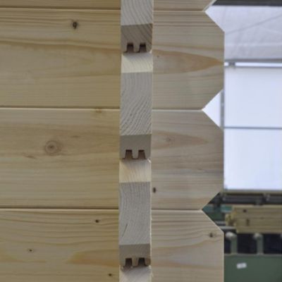 Abri de jardin en bois - 19.2m2 - 4.8x4m - Ep. 40mm - Couleur: naturel - DOM370