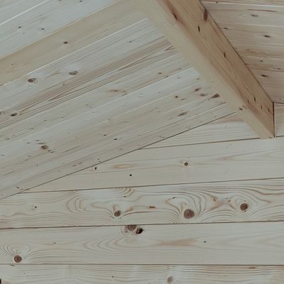 Abri de jardin en bois de 4.3m² Opéra Alce 215cm x 250cm - toiture double pente