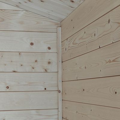 Abri de jardin en bois de 4.3m² Opéra Alce 215cm x 250cm - toiture double pente
