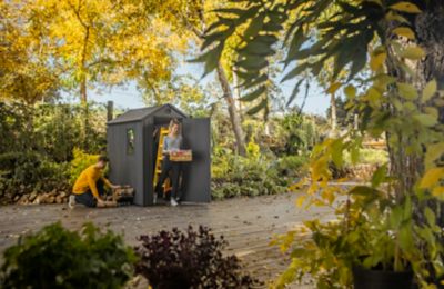 Abri de jardin en résine gris 2,2m², Keter Darwin 46