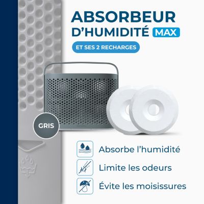 Absorbeur d'humidité maxi format 40 m² gris + 2 tablettes 500 g Starwax