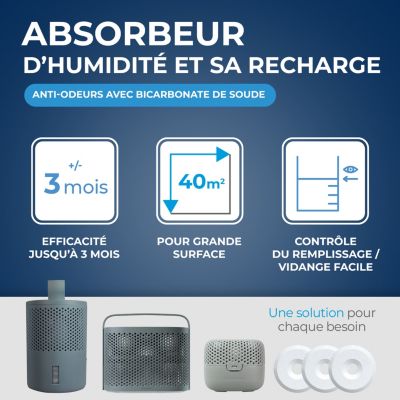 Absorbeur d'humidité maxi format 40 m² gris + 2 tablettes 500 g Starwax