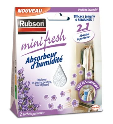 Absorbeur d'humidité Mini fresh lavande 2x50g Rubson