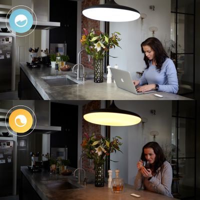 Accessoire pour maison connectée IP20 Philips Hue blanc