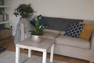 NOVOTEX - Adhésif Effet Bois Chêne Clair 45cm x 2m - Redécorez vos meubles  et donnez leur une seconde vie en utilisant l - Livraison gratuite dès  120€