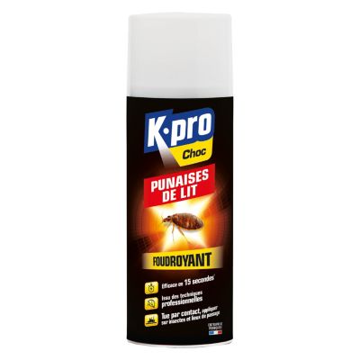 Aérosol anti punaises de lit Kapo 400 mL