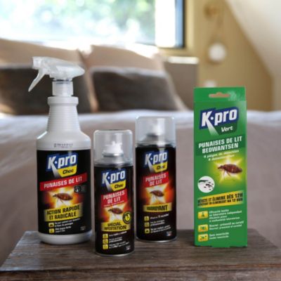 Aérosol anti punaises de lit Kapo 400 mL