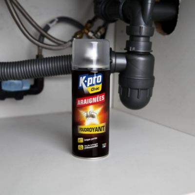 Aérosol foudroyant araignées Kapo choc 400ml