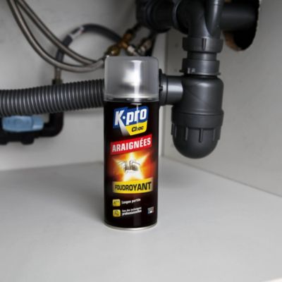 Finito Spray anti-araignées (400ml) acheter à prix réduit