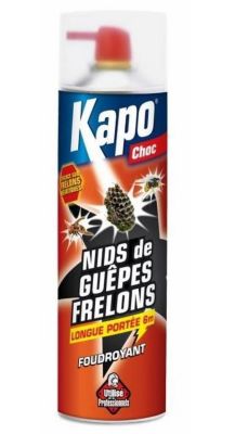 Aérosol guêpes foudroyant 500ml + 20% gratuit