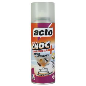 Aérosol insecticide Acto spécial choc 100ml