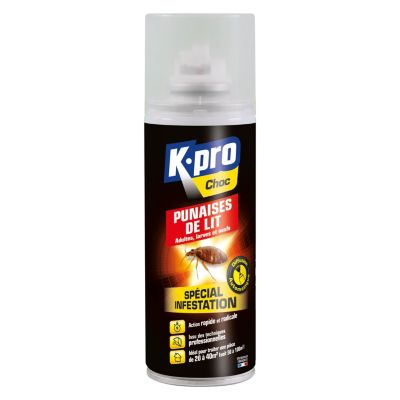 Aérosol punaise de lit spéciale infestation Kapo 200ml