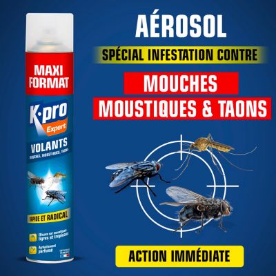 Aérosol tous volants moustiques, mouches, taons Kapo 500ml