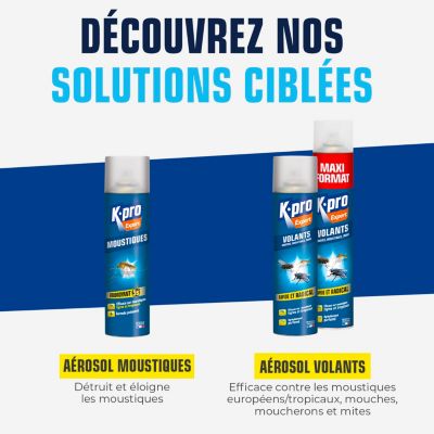 Aérosol tous volants moustiques, mouches, taons Kapo 500ml