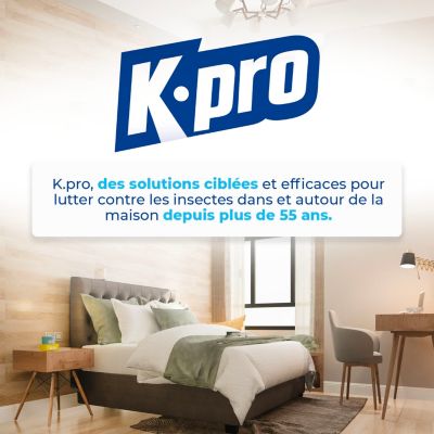 Aérosol tous volants moustiques, mouches, taons Kapo 500ml
