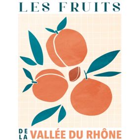 Affiche Abricot fruits l.40 x H.50 cm orange et bleu