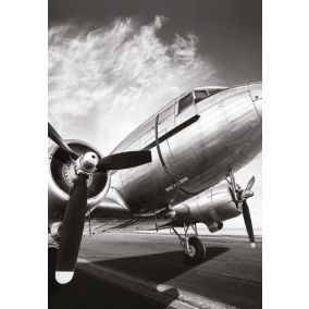 Affiche avion noir et blanc L.50 x H.70cm Dada Art