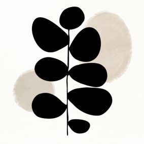 Affiche branche noir et blanc Dada Art l.30 x H.30 cm