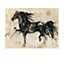 Affiche Cheval 60 x 80 cm coloris noir/fond écru
