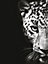 Affiche décorative léopard l.60 x H.80 cm