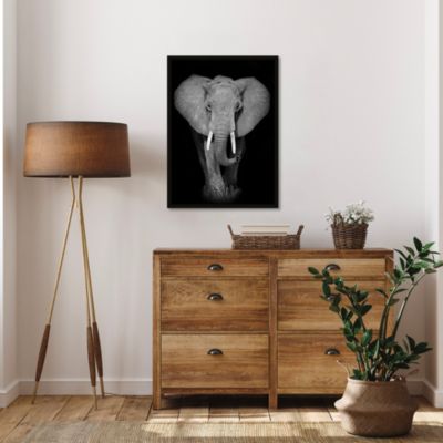 Affiche éléphant noir et blanc L.50 x H.70cm Dada Art