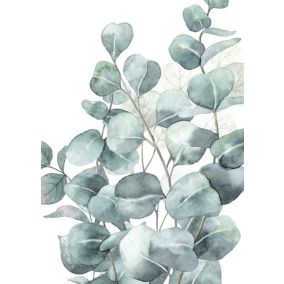 Affiche eucalyptus vert l.50 x 70 cm Dada art