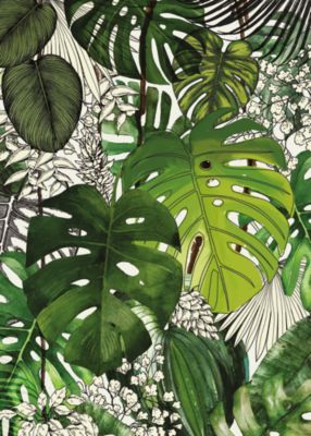 Affiche feuillage jungle vert L.40 x H.50cm Dada Art