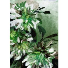 Affiche fleurs de jasmin L.40 x H.50cm Dada Art