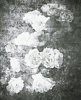 Affiche fleurs noir et blanc 40 x 50 cm