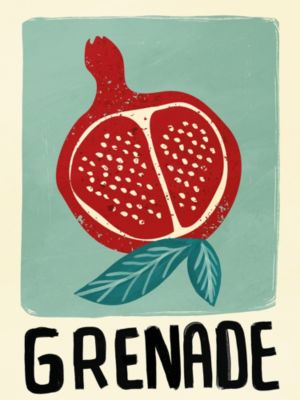 Affiche fruit grenade l.30 x l.40 cm Dada Art