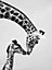 Affiche giraffe, animaux, savane, afrique l.60 x H.80 cm noir et blanc