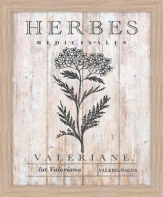 Affiche herbes médicinales valériane Dada Art l.24 x H.30 cm