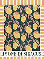 Affiche imone Pink jaune Dada Art l.30 x H.40 cm