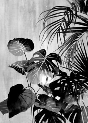 Affiche jungle noir et blanc L.40 x H.50cm Dada Art