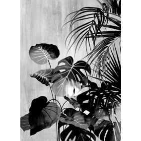 Affiche jungle noir et blanc L.40 x H.50cm Dada Art