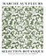 Affiche marché aux fleurs sélection botanique Dada Art l.40 x H.50 cm vert