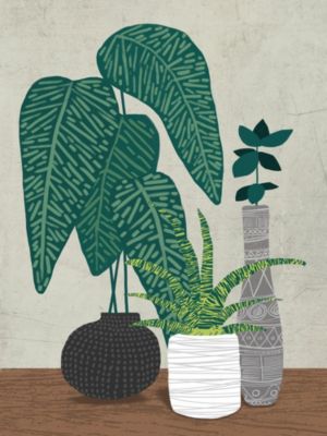 Affiche plantes et vases verts l.30 x l.40 cm Dada art