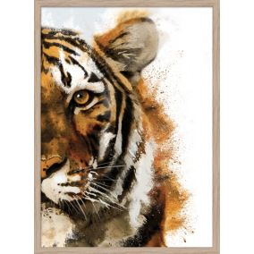 Affiche portrait tigre L.50 x H.70cm Dada Art