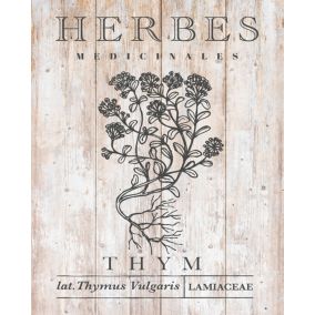 Affiche Thyme Dada Art l.24 x h.30 cm