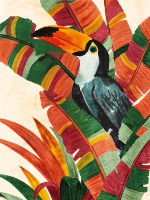 Affiche Toucan toucan, animaux l.60 x H.80 cm multicolore