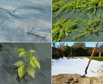 Agrafes pour toile de paillage Lot de 50 pièces Acier