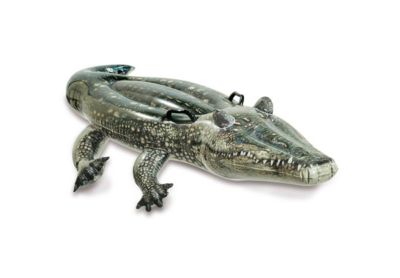 Alligator à chevaucher - Intex