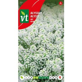Alysse Tapis De Neige - Ca. 0,5 gr
