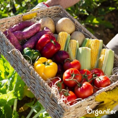 Amendement Du Sol Biochar - 10 Kg - 35 L - Amendement Organique Du Sol - Organifer