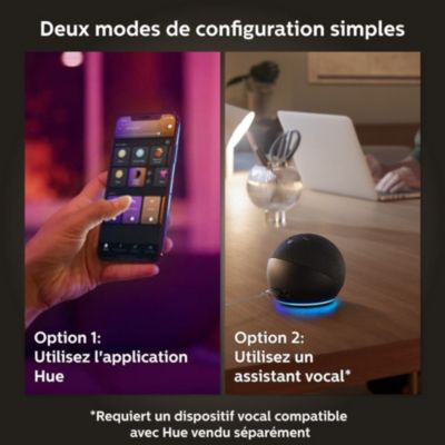 Ampoule connectée connectée dimmable Bluetooth Philips Hue IP20 A60 E27 1100lm 11W multicolore