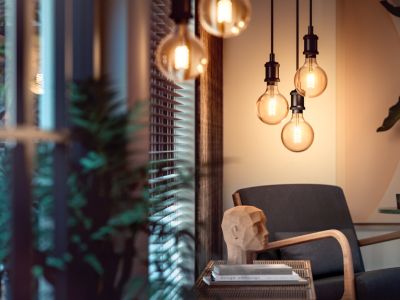 Ampoule connectée dimmable Bluetooth Philips Hue IP20 Globe E27 550lm 7W blanc chaud