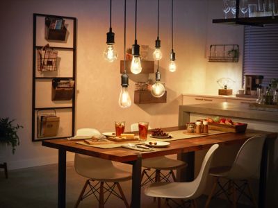 Ampoule connectée dimmable Bluetooth Philips Hue IP20 Globe E27 550lm 7W blanc chaud