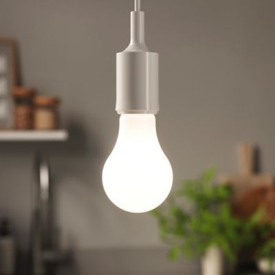 Ampoule LED à filament dépolie GLS E27 1521lm 10.5W = 100W Ø7cm IPX4 Diall blanc neutre dimmable
