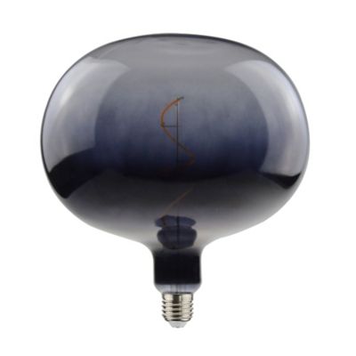 Ampoule LED à filament E27 Spéciale 160lm 6.5W Ø22cm blanc chaud Diall